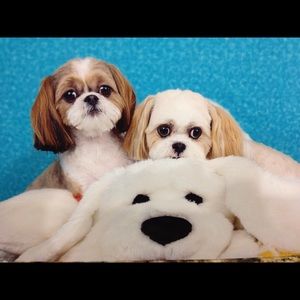 Meet your Posher, Becky